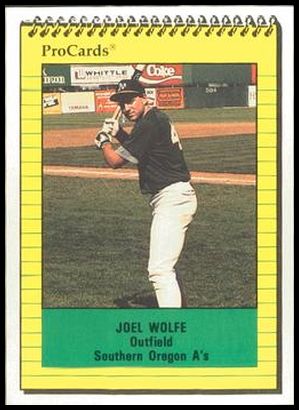 3865 Joel Wolfe